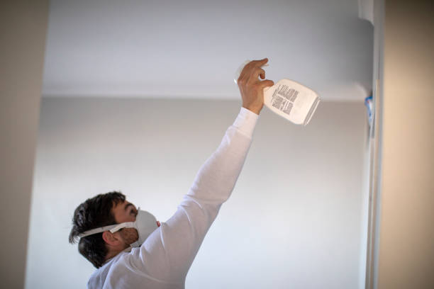 Best Residential Mold Removal  in Fulton, KY