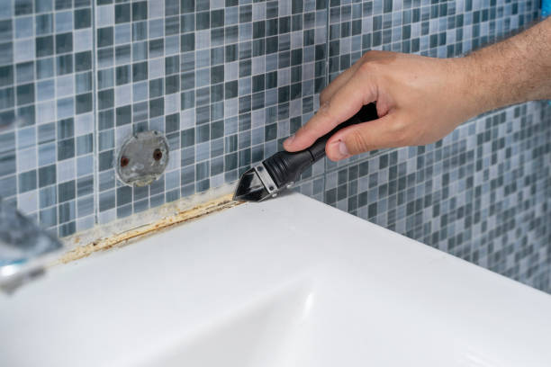 Best Mold Damage Repair  in Fulton, KY
